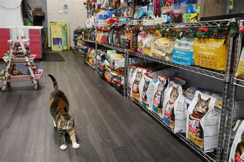 pet store near me|local pet stores near me.